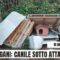 A Pagani il canile é sotto attacco: rubata la pitbull Laila